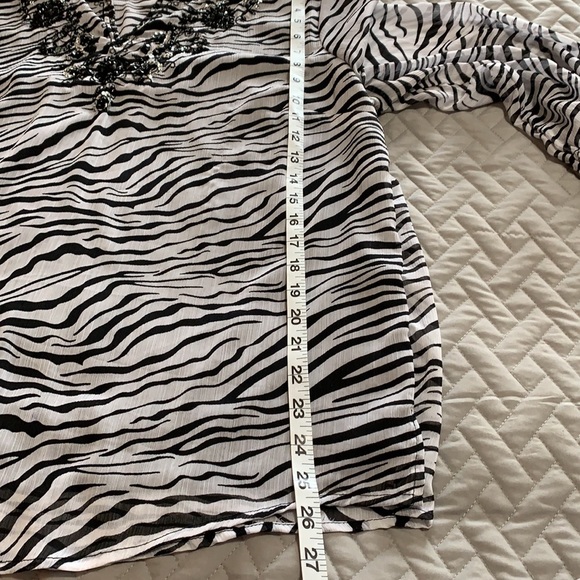 Animal Print. Zebra.  Sequins. Tunic. Fall - Picture 15 of 16
